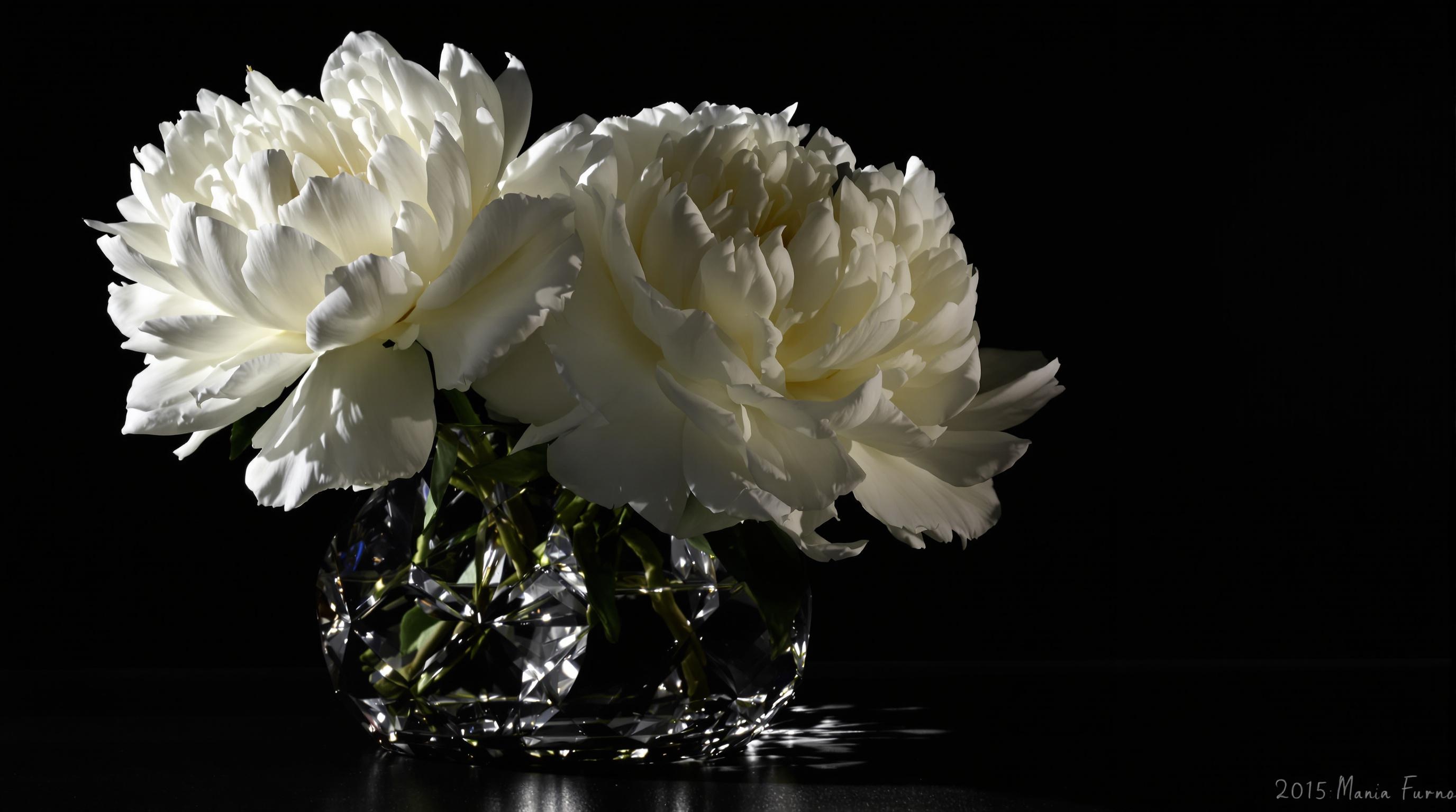 a  simple still life with a glass object and three white peonies in dramatic studio lighting